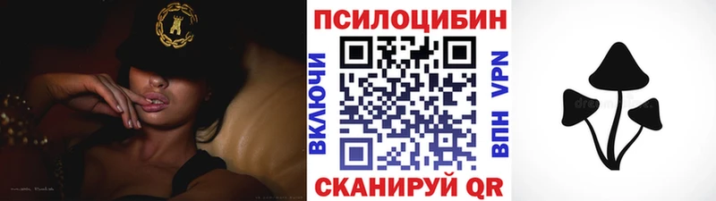 Псилоцибиновые грибы GOLDEN TEACHER  хочу   omg зеркало  нарко площадка Telegram  Сокол 